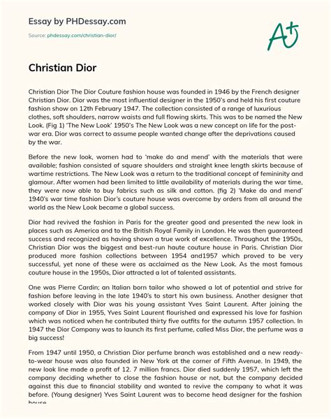 christian dior essay